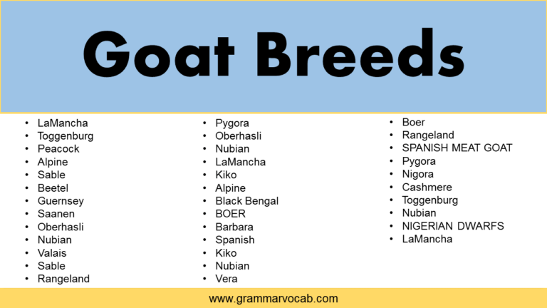 List Of Goat Breeds GrammarVocab