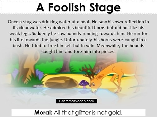 a foolish stage