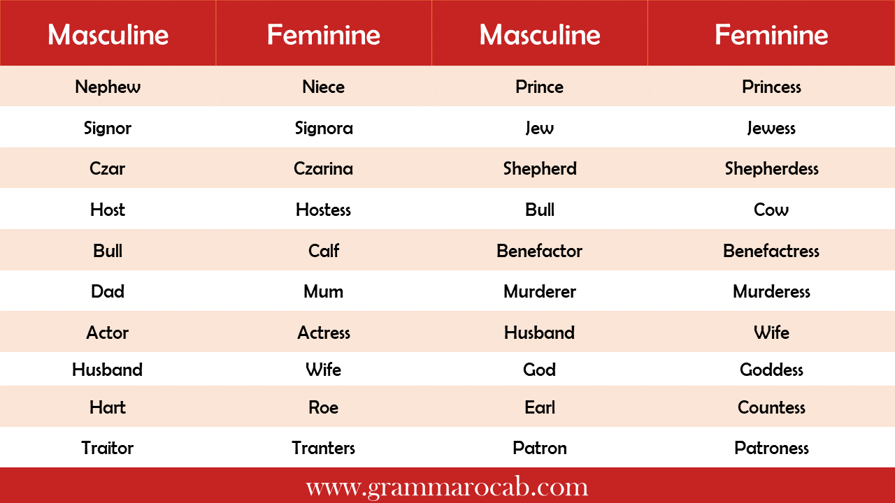 Masculine And Feminine Nouns