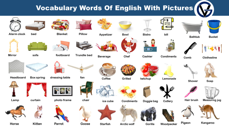 vocabulary-words-of-english-with-pictures-grammarvocab