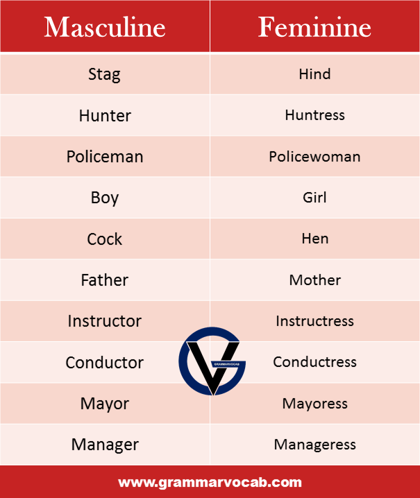 List of Masculine and Feminine Gender PDF - Definition and Infographics