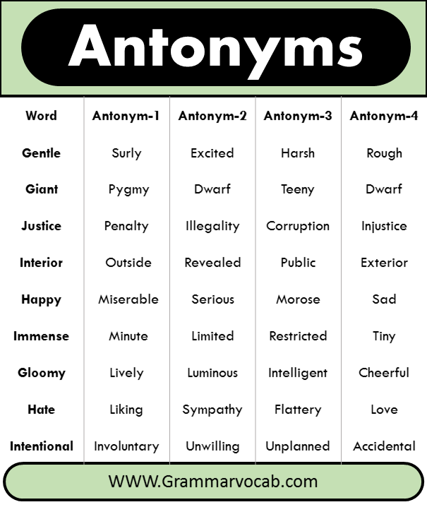 What Is An Antonym For The Word Bogus