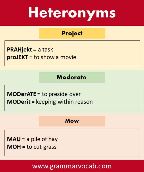 Heteronyms Examples