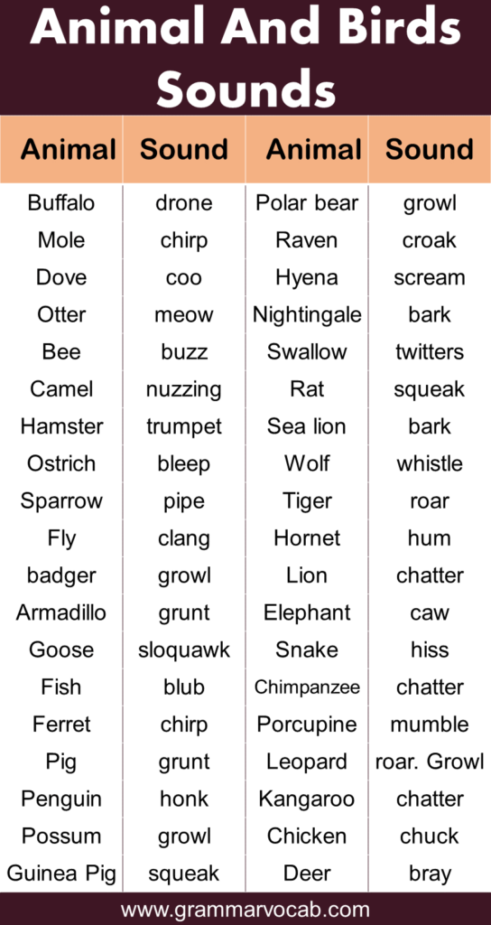 100+ Animals and Birds Sound List Vocabulary GrammarVocab