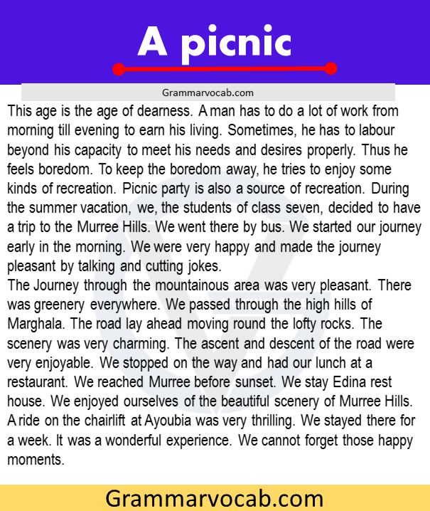 a picnic essay