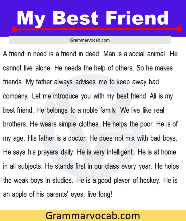 best friend essay