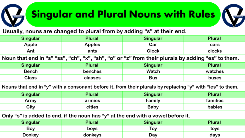 List of Singular and Plural Nouns with Rules GrammarVocab