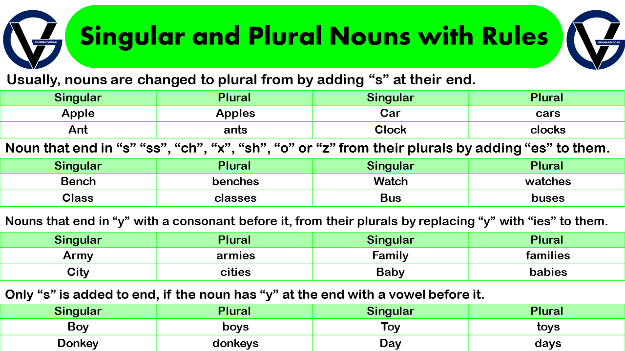 List of Singular and Plural Nouns with Rules - GrammarVocab