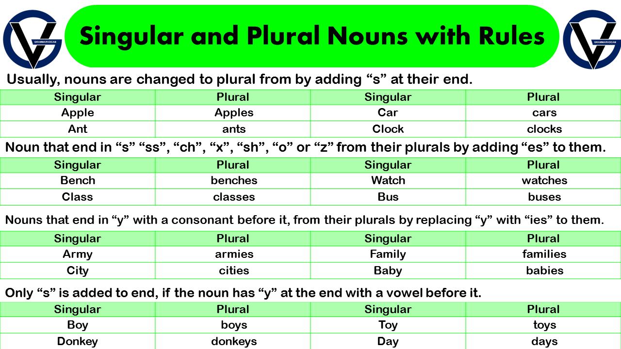 Singular and Plural Nouns in English Grammar  Number