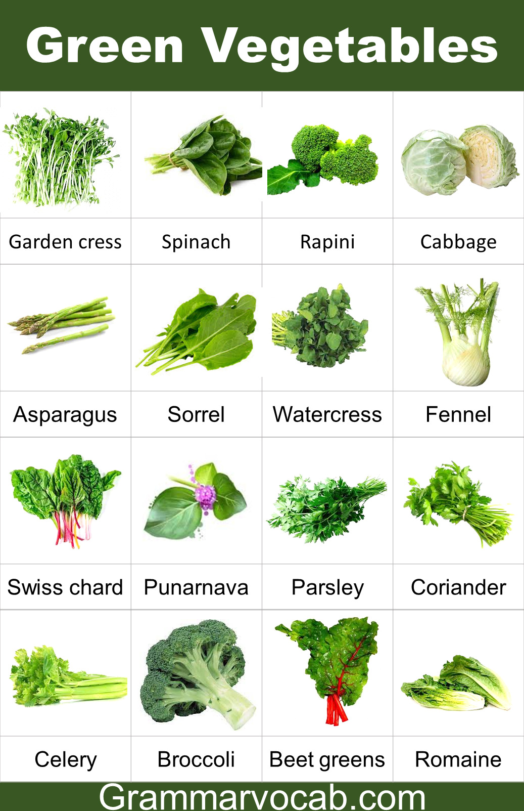 leafy vegetables chart