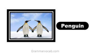 50+ Common birds names with pictures - Birds Vocabulary - GrammarVocab