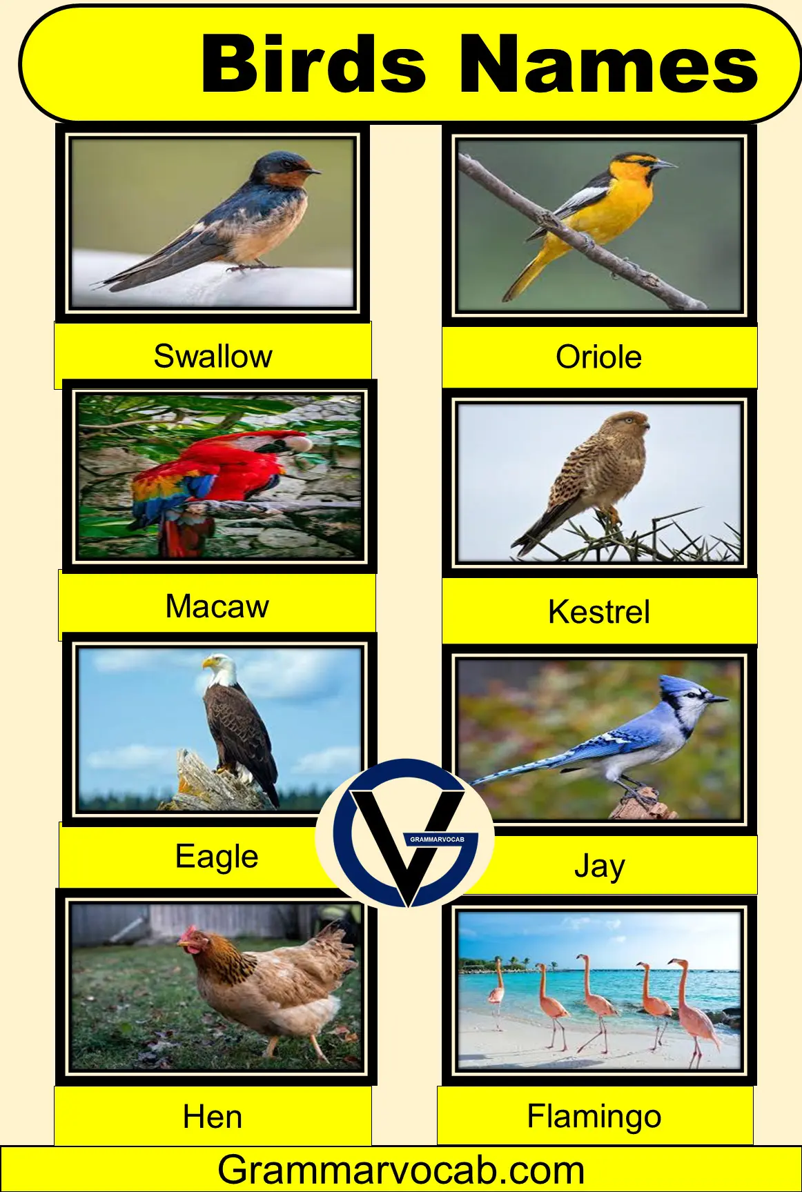 birds pictures with their names