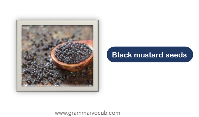 Black mustard seeds