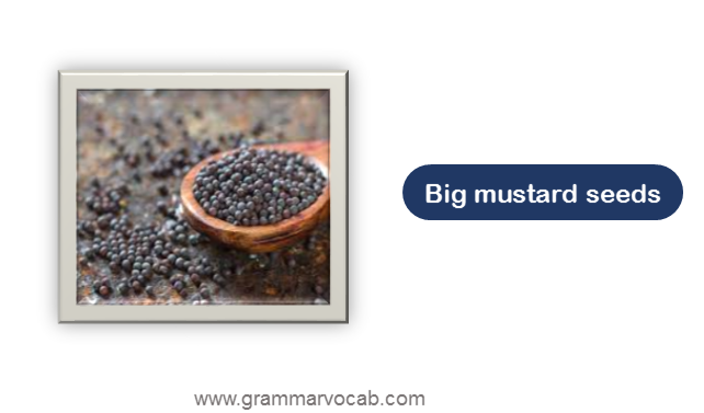 Big mustard seeds