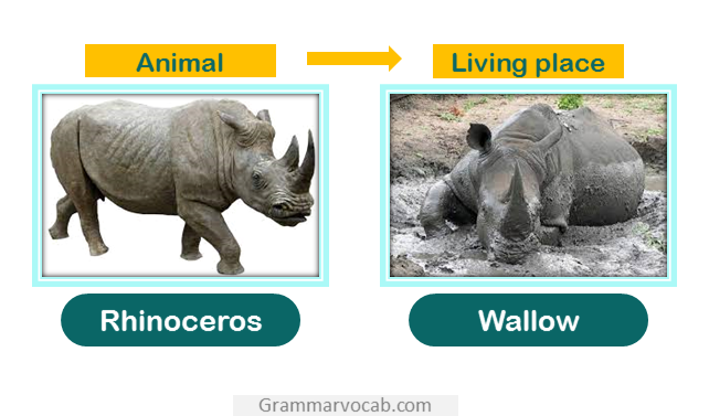 Rhinoceros living place