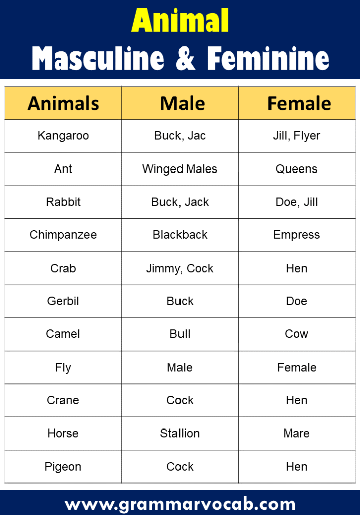 List of Masculine and Feminine Gender of Animals - GrammarVocab