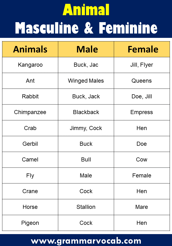 List of Masculine and Feminine Gender of Animals | Male & Female Animals -  GrammarVocab