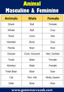 List of Masculine and Feminine Gender of Animals - GrammarVocab