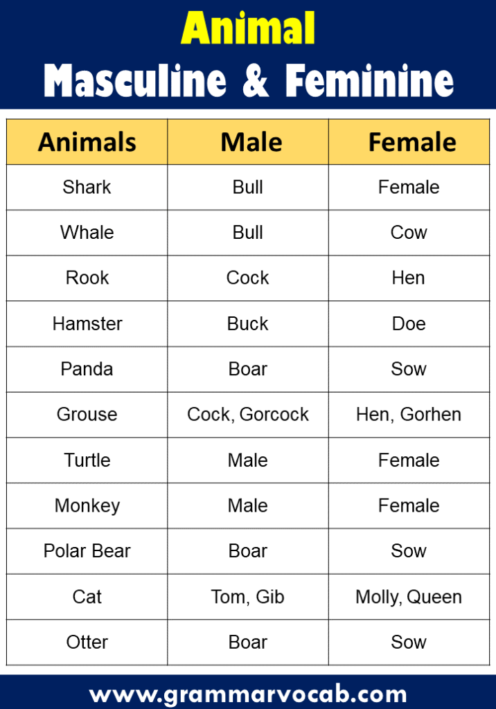 List of Masculine and Feminine Gender of Animals - GrammarVocab