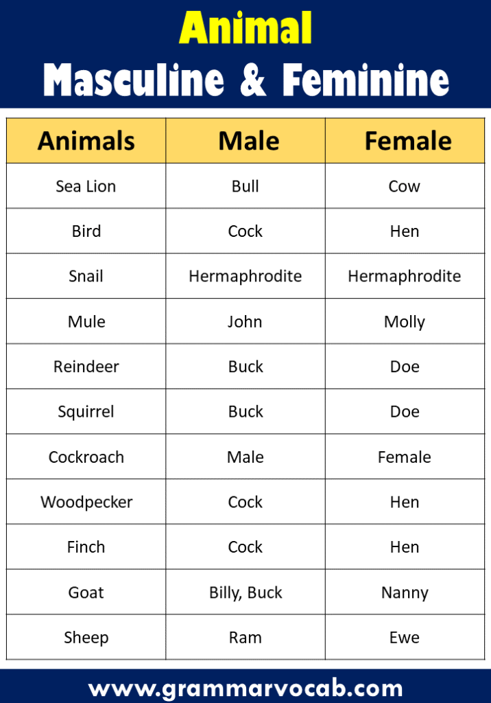 List of Masculine and Feminine Gender of Animals - GrammarVocab