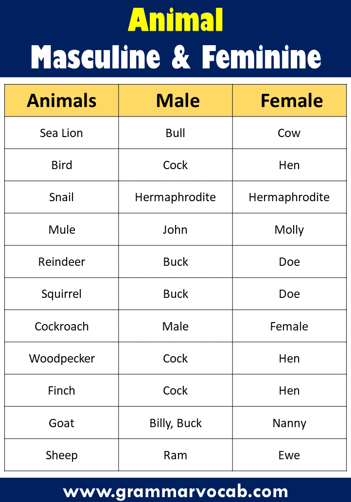 List of Masculine and Feminine Gender of Animals | Male & Female Animals -  GrammarVocab