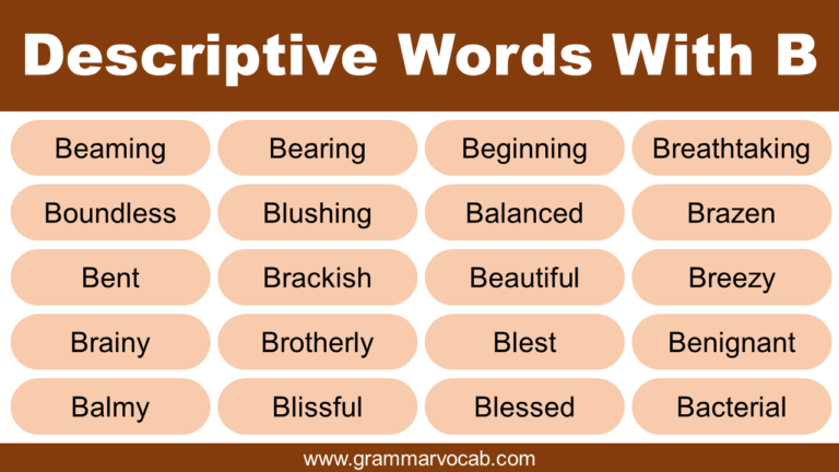 100 Descriptive Words Start With B GrammarVocab