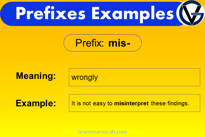 prefix meaning and example