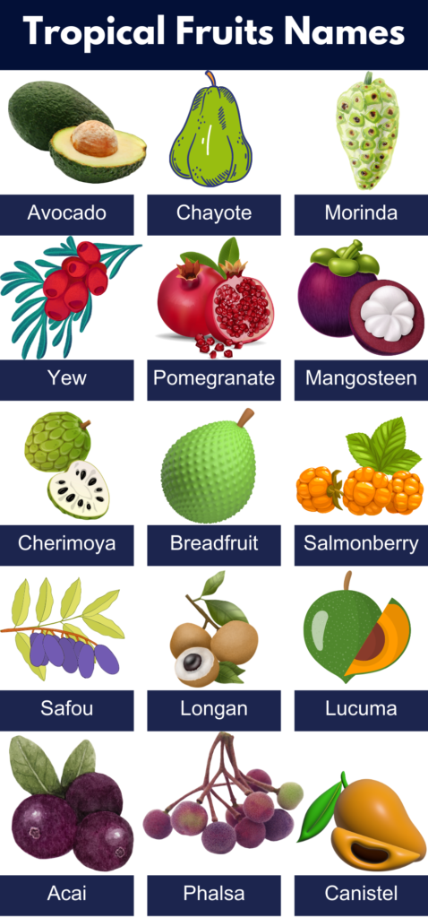 List of All Tropical Fruits Name, Pictures, PDF - GrammarVocab