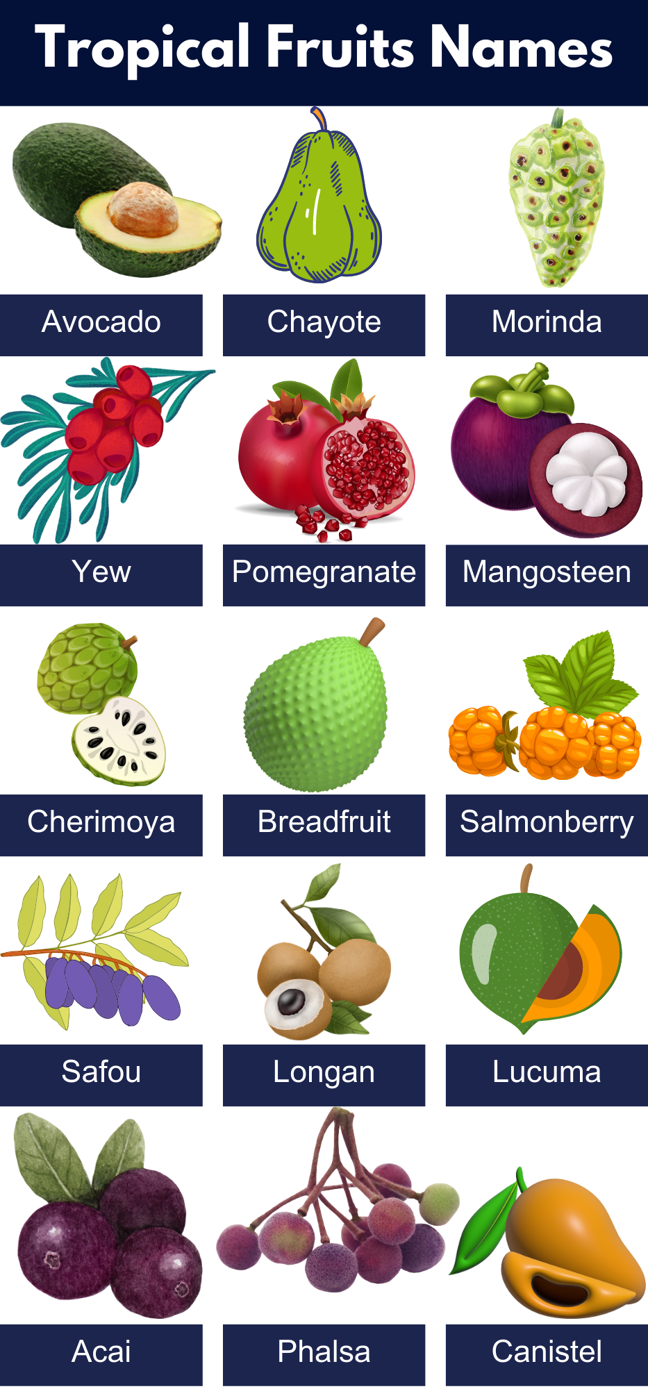 Tropical Fruits Name