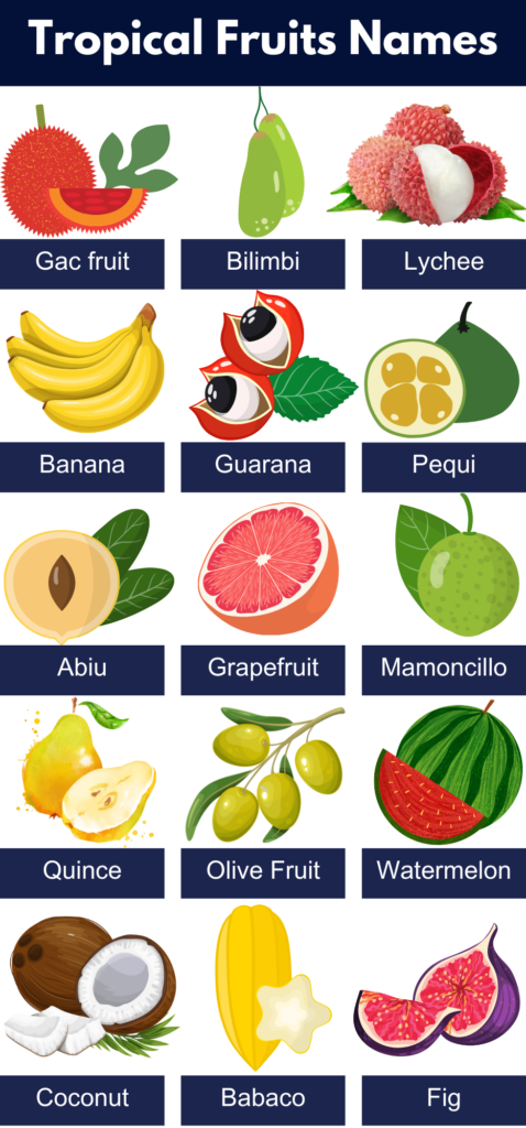 List Of All Tropical Fruits Name Pictures Pdf Grammarvocab 