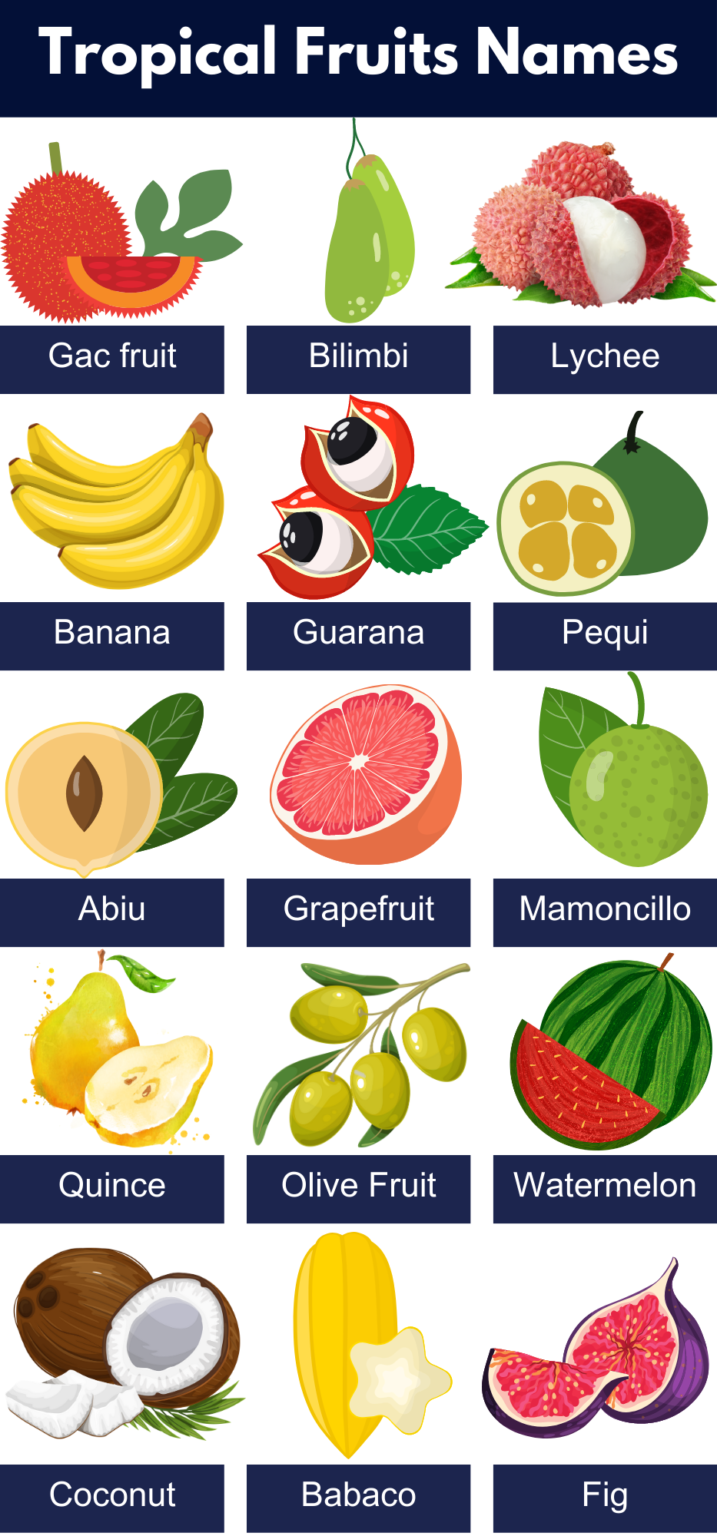 List of All Tropical Fruits Name, Pictures, PDF - GrammarVocab