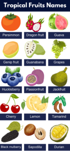 List of All Tropical Fruits Name, Pictures, PDF - GrammarVocab