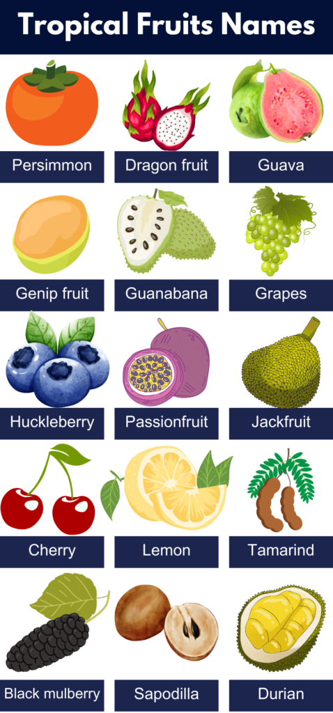 List of All Tropical Fruits Name, Pictures, PDF - GrammarVocab