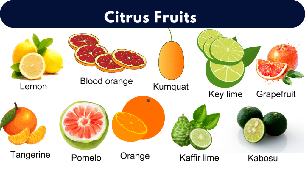 Citrus Fruits Name