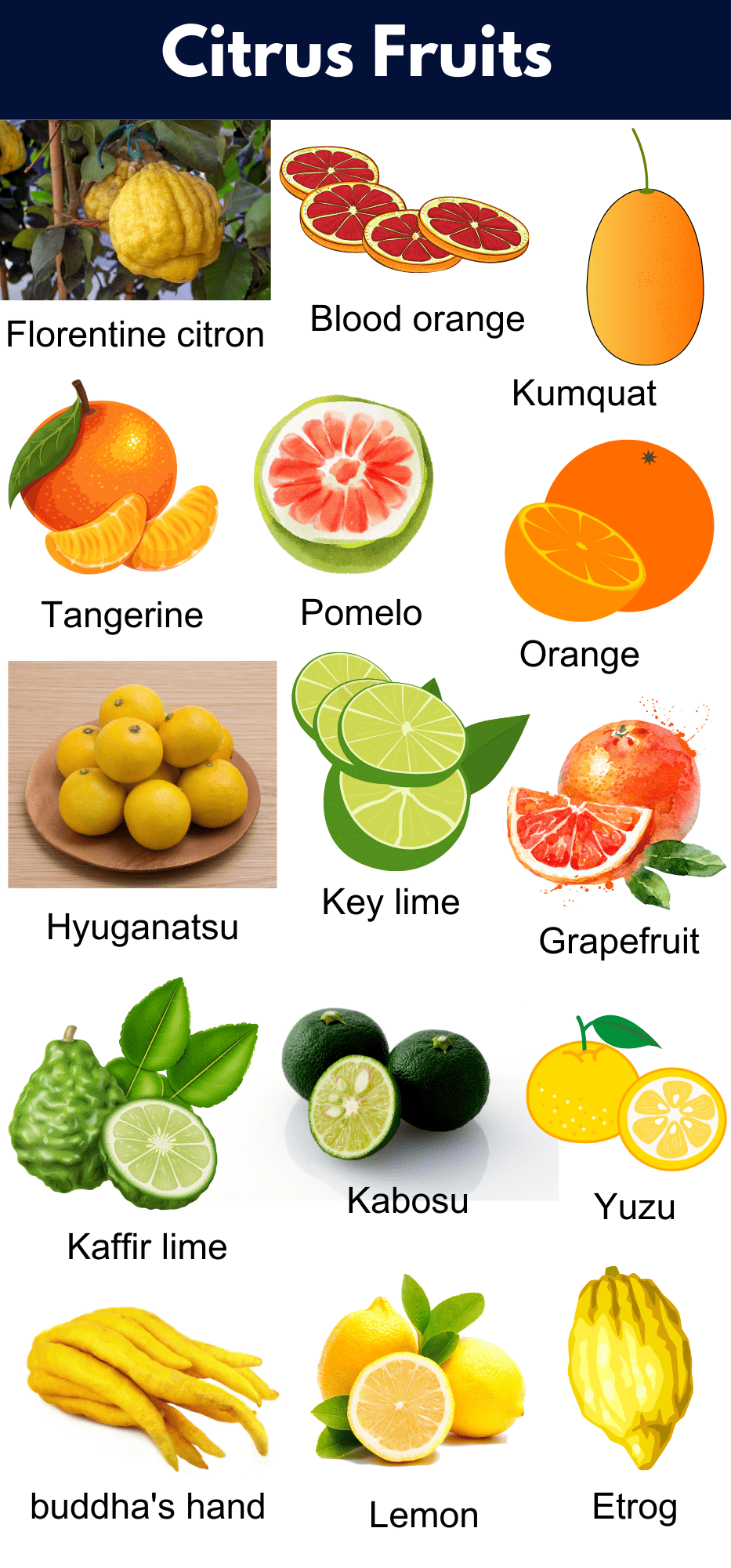 Citrus Fruits Names