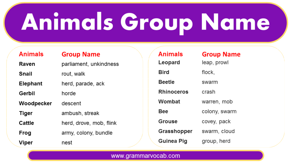 Animal Group Names English Study Collective Nouns Nouns 52 OFF