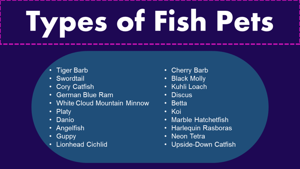 Types of Fish Pets