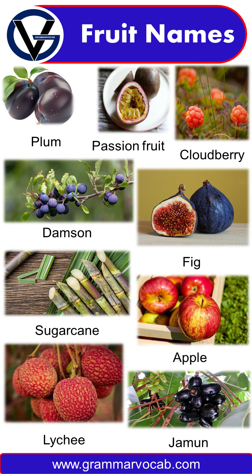 List Of All Fruit Names With Pictures Download PDF GrammarVocab