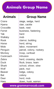 Animals Group Name: Animals Vocabulary | PDF - GrammarVocab