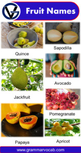 List of All Fruit Names With Pictures | Download PDF - GrammarVocab