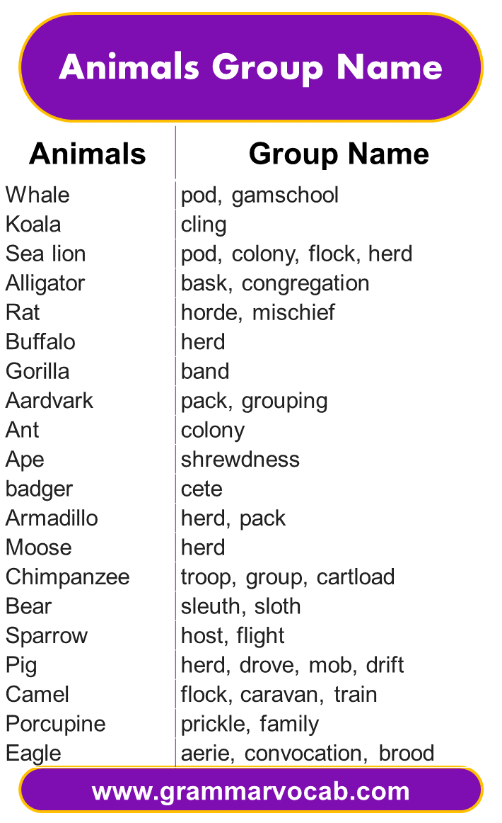 Collective noun for animals