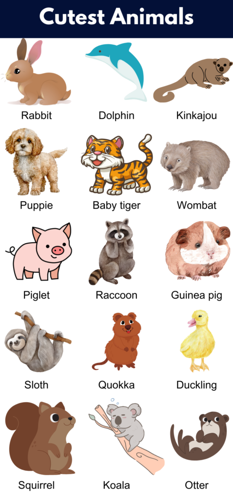 Cute Animals: List of Cutest Animals in The World - GrammarVocab