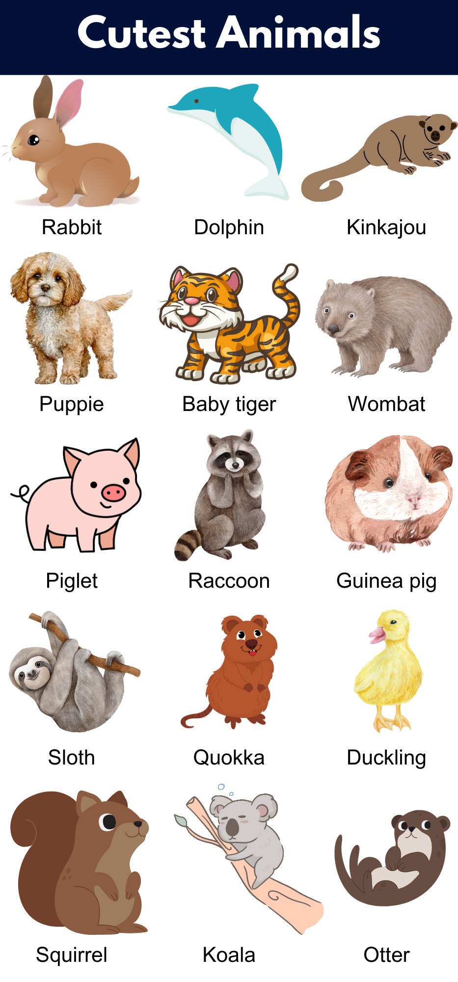 Cutest Animals Name