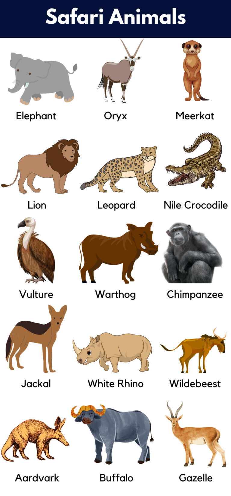 List of Safari Animals Names with Pictures - GrammarVocab