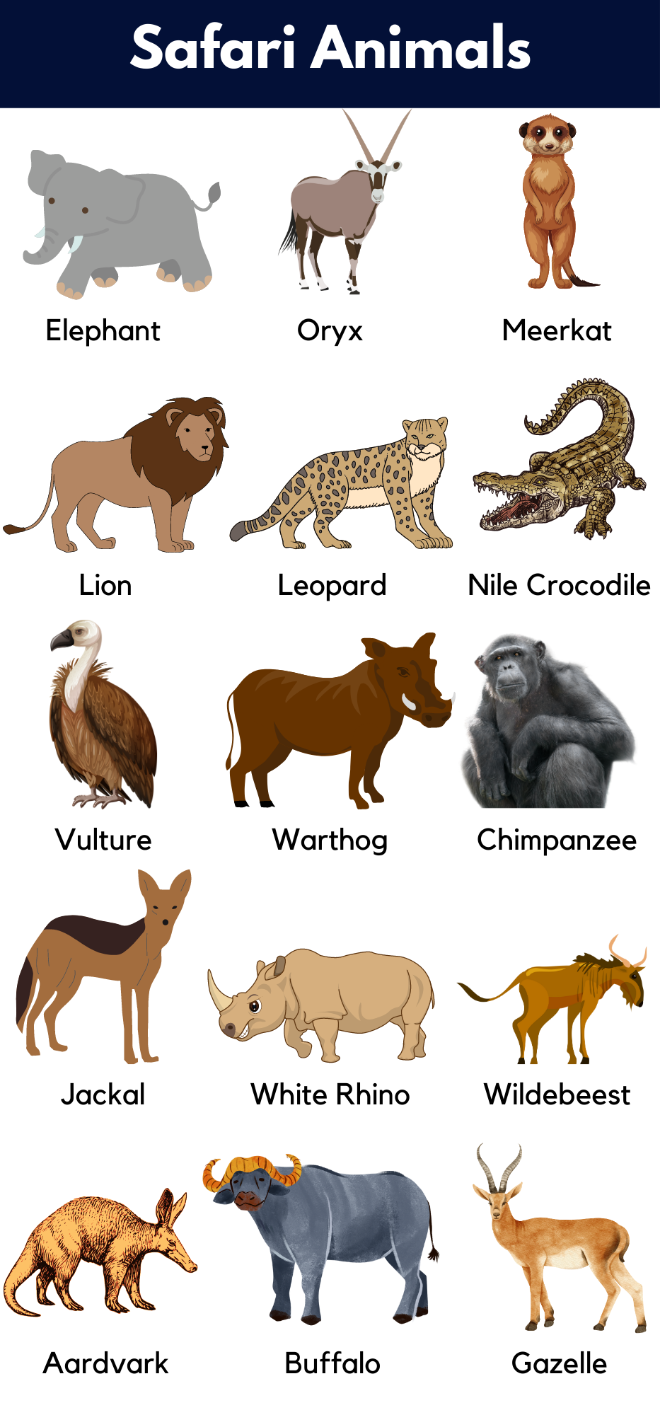 List Of Safari Animals Names With Pictures GrammarVocab List Of Safari Animals Names With Pictures GrammarVocab