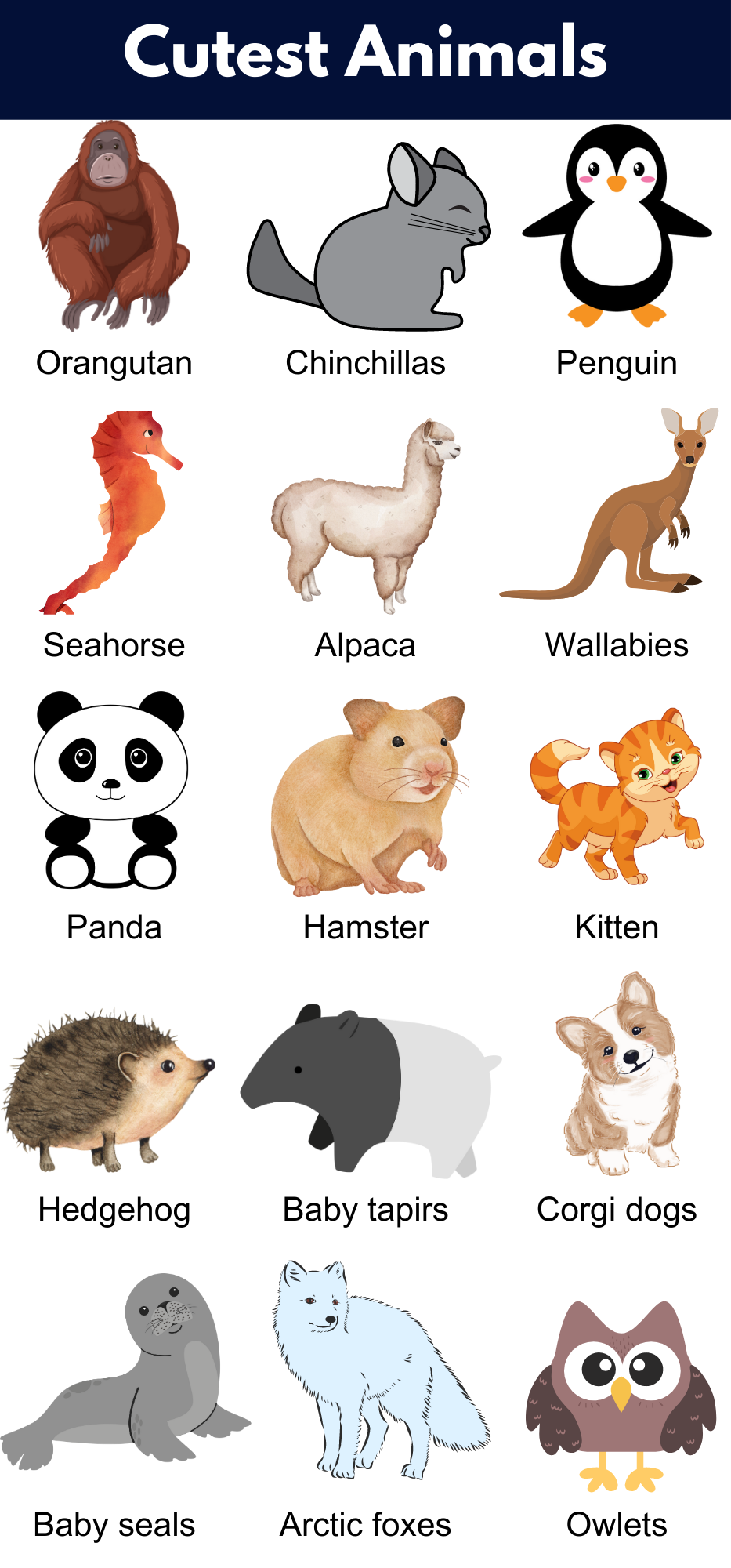 Cutest Animals Name