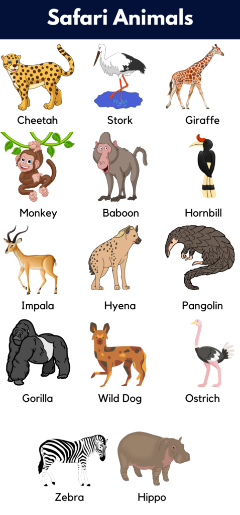 List of Safari Animals Names with Pictures - GrammarVocab