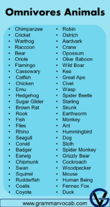 List of Omnivores Animals Name, Pictures & Facts | PDF - GrammarVocab