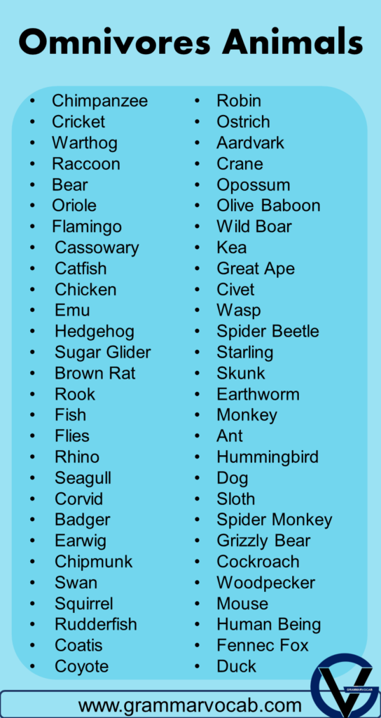 List Of Omnivores Animals Name, Pictures & Facts | PDF - GrammarVocab