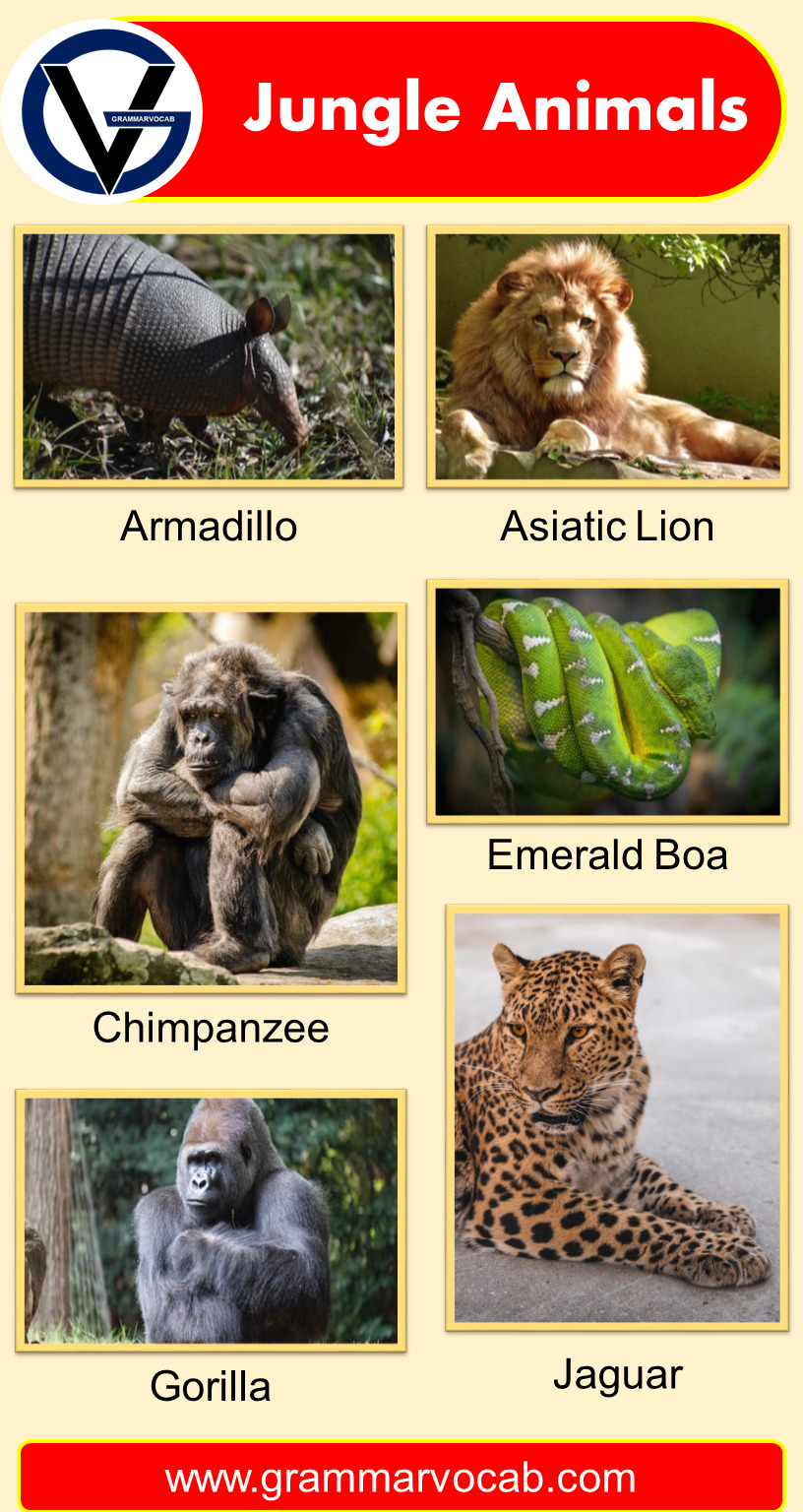 animals that live in the jungle list